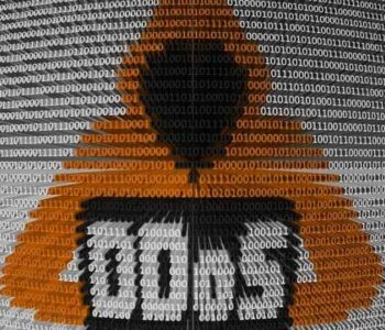63ec91d8af4e0c15b9b16587_DDoS attack
